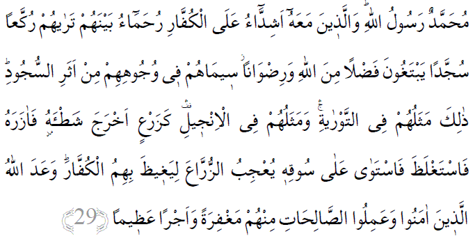 Fetih suresi 29. ayet arapça yazılışı