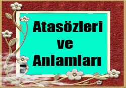 Kurt Kocayinca Kopegin Maskarasi Olur Atasozunun Anlami Huzur Sayfasi Islami Bilgi Kaynaginiz